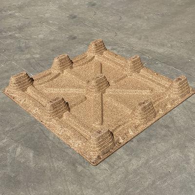 Bom preço Palete Moldada de Madeira Compactada para Exportação Livre de Fumigação on-line